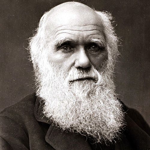 Charles Darwin’s Theory of Evolution and how it’s applicable in business.